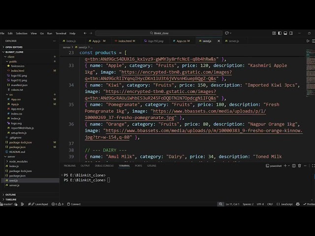 BLINKIT CLONE USING MERN STACK Project by-Karanveer Singh Guleria 1