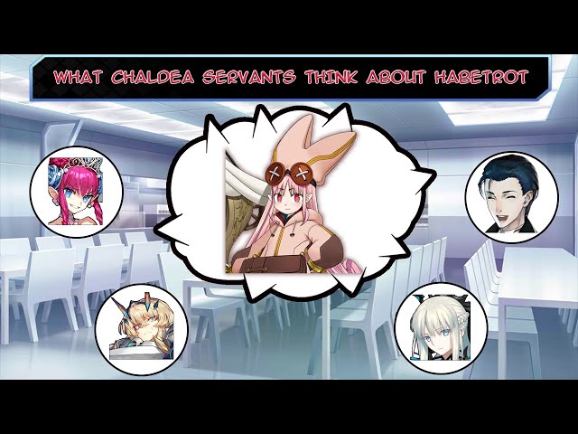 【FGO】What Chaldea Servants think about Habetrot