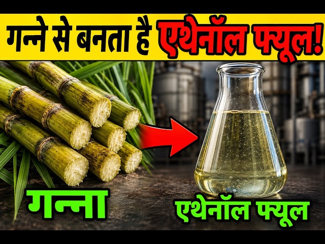 Ethanol Production Process in India | CIAN Agro Industries Reality Exposed #ethanol #factoryprocess