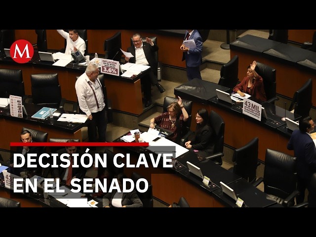 Morena senators define candidate for Senate presidency for new legislature