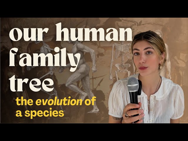 A brief overview of human evolution | HOMO HISTORY