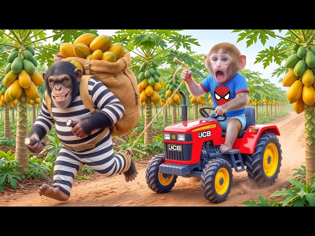 Monkey Nana Drives a Tractor to Harvest Papayas and Plans a Trap to Catch the Farm Thief!