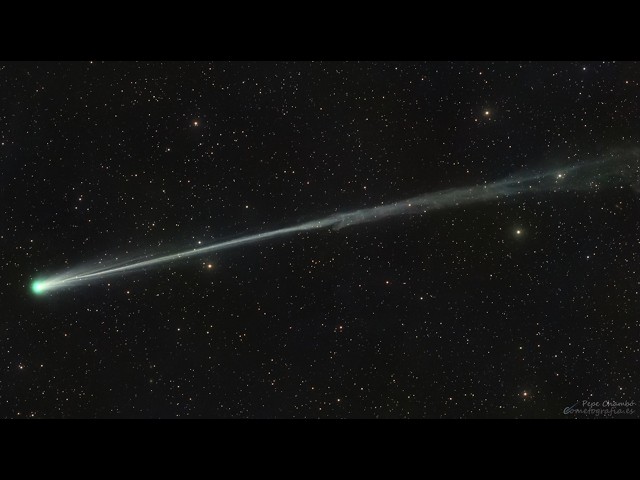 Comet PANSTARRS in One Week