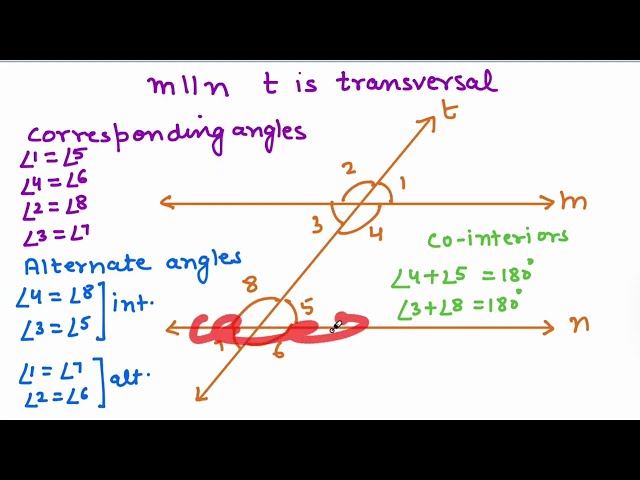 SAT Math Practice Test: Bundle 8 Module 2 (Full Solutions & Strategy)