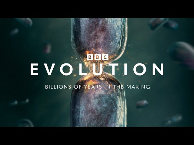 Evolution: Official Trailer | BBC Earth Science