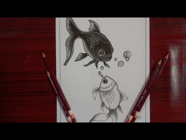 How to Draw a Goldfish | Fish Drawing Step by Step | Pencil Shading