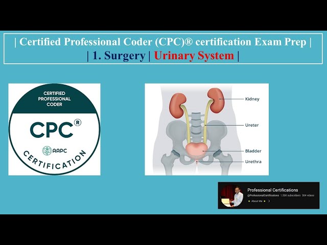 | Certified Professional Coder (CPC)® certification Exam Prep | 1. Surgery | Urinary System |