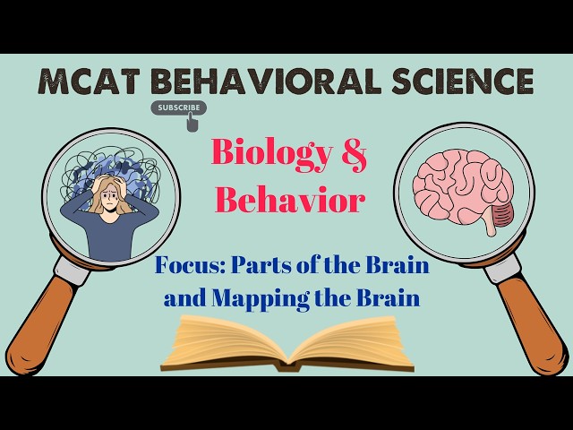 MCAT Behavioral Science: Chapter 1 - Biology and Behavior (2/4)