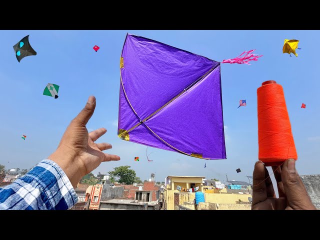 Looting kites on rooftop | Kite catching new video | Kite lootere | kite