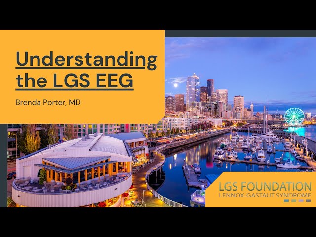 UNDERSTANDING THE LGS EEG