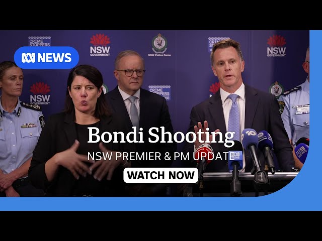 IN FULL: Chris Minns and Anthony Albanese provide update on the Bondi investigation | ABC NEWS
