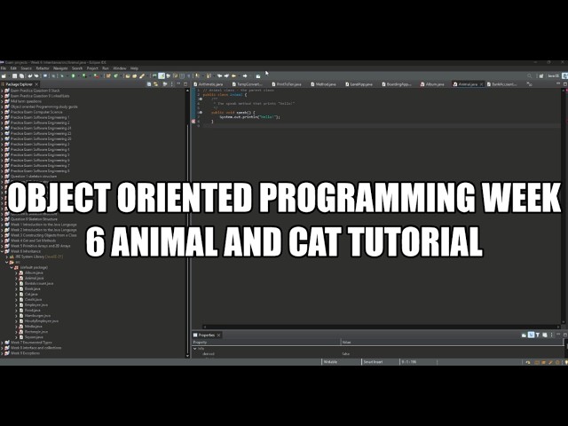 Object oriented programming week 6 Animal and Cat tutorial