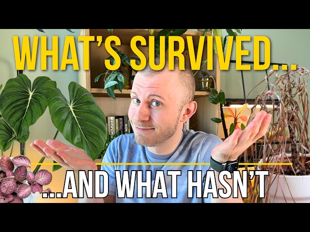 I've Been Gone For 6 Months... Here's Which Plants Survived, And Which Didn't