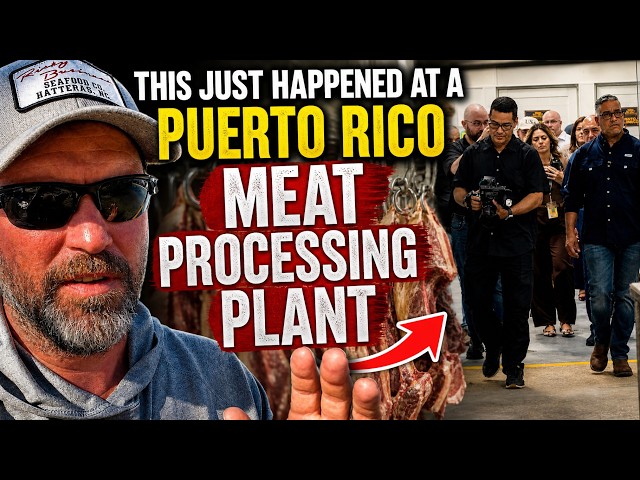 THIS JUST HAPPENED AT A PUERTO RICO PROCESSING PLANT 