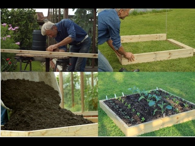 Create a no dig raised bed, compost on weeds, with tips on planting + see the growth