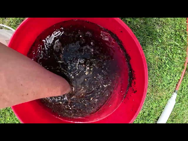 WORM TEA and a Baby Food Forest