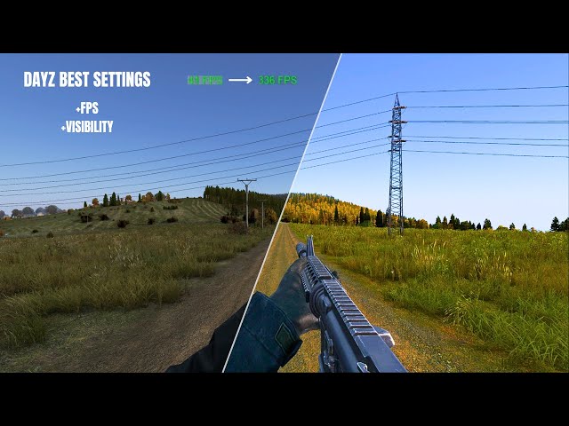 Best Settings for FPS And Visibility in 2025! (DAYZ)