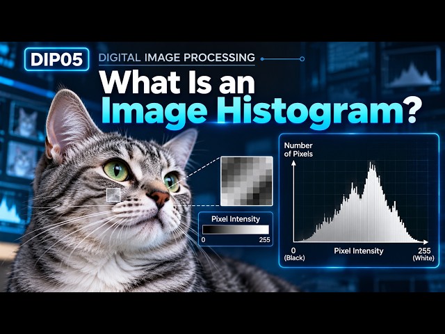 What Is an Image Histogram? | Pixel Intensity & Distribution | Digital Image Processing #05