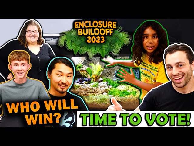 Reptile Enclosure Build-off 2023! (Part 2- The Final Builds!)