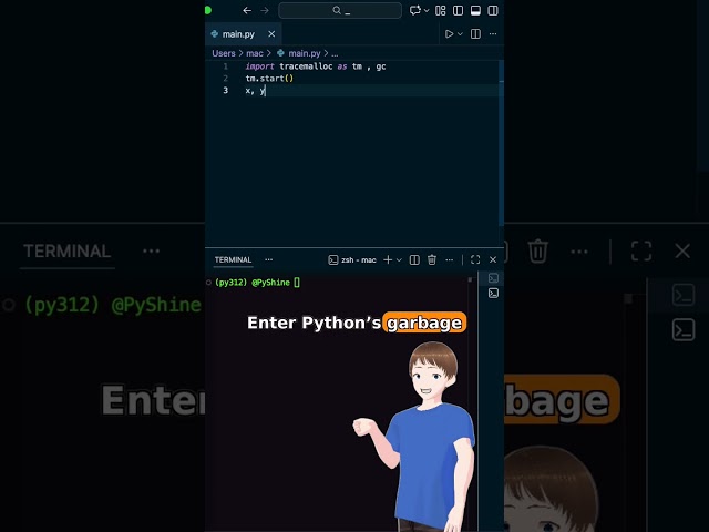 Python Beginners – How Python Garbage Collection Saves Your Memory