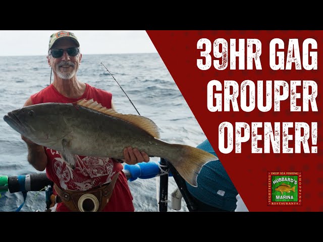 Hubbard’s Marina 39-Hour Offshore Fishing Trip | Big Gag Grouper, Red Snapper & Amberjack | 9-2-25