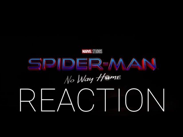 Spider-Man: No Way Home Trailer REACTION !