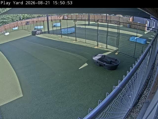 Play Yard