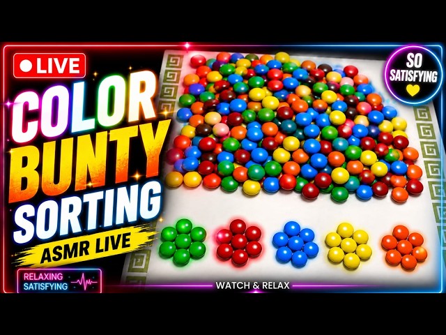 🔴 Satisfying Color Bunty Sorting | Deep Focus & Relaxing ASMR