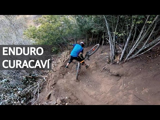 Enduro en la La Polygon T8 en Curacaví! Mountain Bike, Saltos, Caídas en Bicicleta y Consejos!