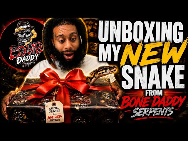 UNBOXING MY NEW BALL PYTHON FROM @Bone_Daddy_Serpents-Vinnie LETS SEE WHAT I GOT 