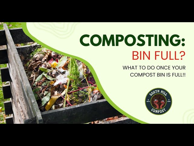 What to do once your compost bin is FULL!!