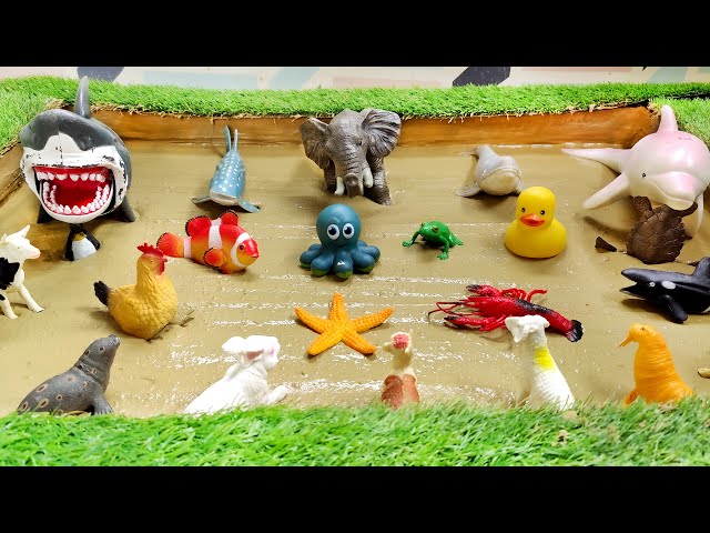 Muddy Ocean Animals and Farm Animals Epic Adventure for Kids | Interactive Learning
