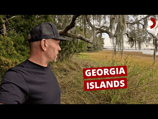 Island Life in Georgia