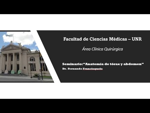 Seminario Clínica quirúrgica:  Anatomía de tórax y abdomen   Dr Francisquelo (12/04/2021)
