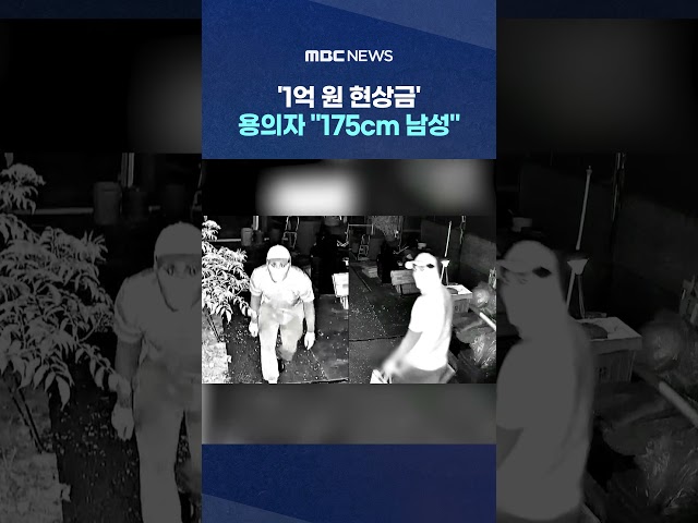 '$100 Million Won Bounty' Suspect, '175cm Male'... Still at Large After Two Months #Shorts (MBC N...