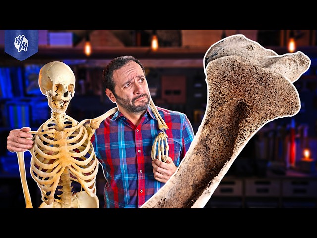 You have NO IDEA what it's like INSIDE a BONE!