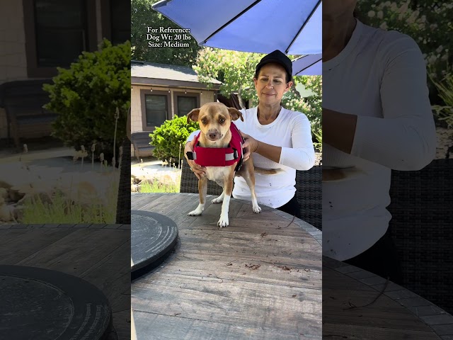 LeLePet Dog Life Jacket, High Flotation Dog Life Vest for Swimming #ad #dog #doglifejacket #amazon