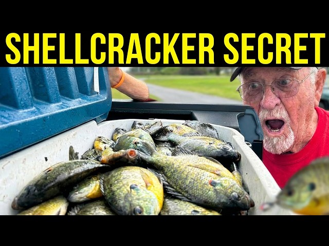 Shellcracker Secrets of the Pros