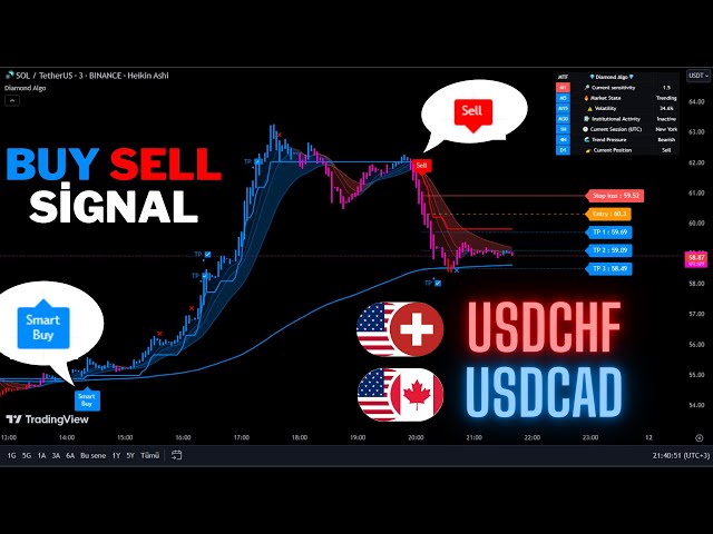 🔴실시간 USDCAD 및 USDCHF 5분 매수/매도 신호-트레이딩 신호-스캘핑 전략-