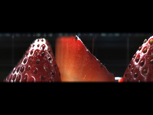 VRMacroscope: Strawberries Dehydrating