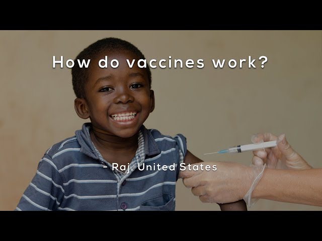 How do vaccines work?