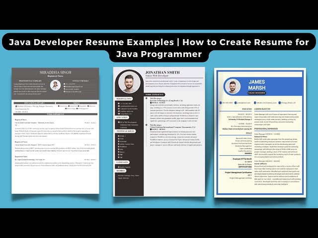 Java Developer Resume Examples | How to Create Resume for Java Programmer | Free Resumes Builder