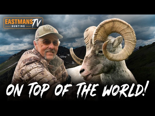 This Stone Sheep Hunt Got Serious FAST | British Columbia | Eastmans Hunting TV