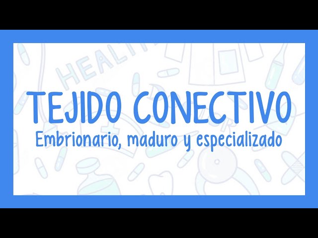 TEJIDO CONJUNTIVO | ¡Fácil explicación! (Histología)