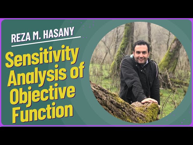 Sensitivity Analysis of Objective Function  Impact on Optimization