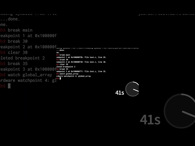 GDB in 60s #gdb #kalilinux #picoctf #hackthebox