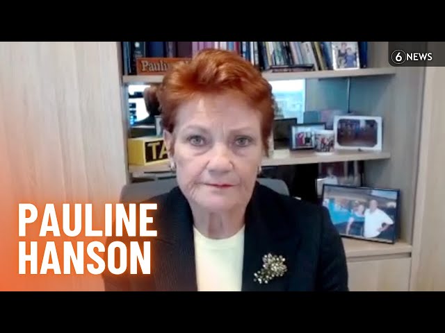 Pauline Hanson reveals re-election plans and hits out at party defectors