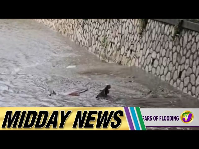 Burger Gully Residents Face Relocation After Years of Flooding | Midday News