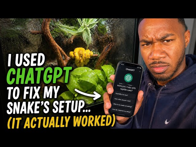 I Used ChatGPT To Fix My Snake’s Setup…(It Actually Worked) 