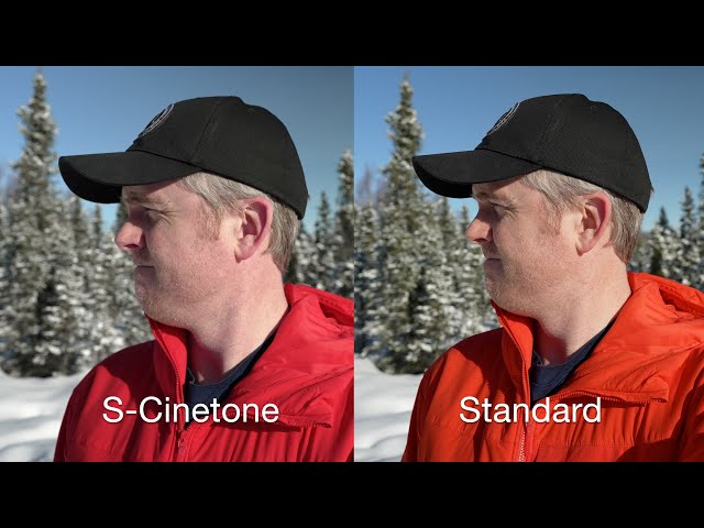 Sony a7s iii s-cinetone vs standard: Sony color compared